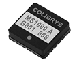 MS 1000
